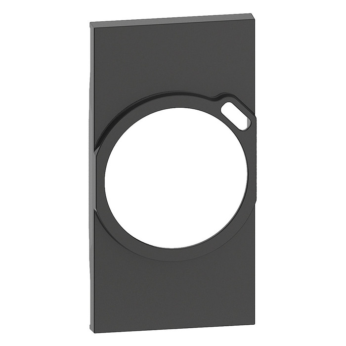 Bticino Living now Черный Лицевая панель для комбинированных розеток 2К+З/USB 2 мод KG63